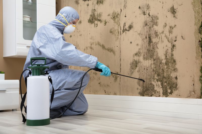 Mold Mitigation Service